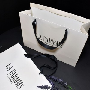 Elegant Ribbon Handle Kraft Bag